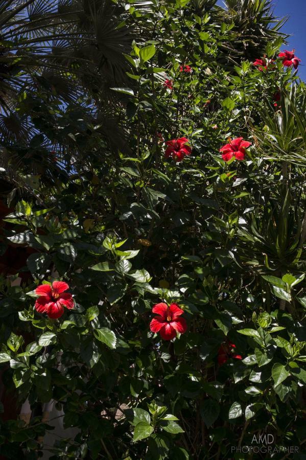 La Maddalena  Los Flamingos B&B 외부 사진